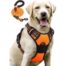 Feyza Design Reflektörlü Köpek Tasması ve Gezdirme Halatı Seti, Orta ve Büyük Irkler Için