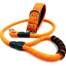 Feyza Design Reflektörlü Büyük Irk Köpek Gezdirme ve Boyun Tasması Seti