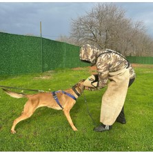 Feyza Design El Yapımı Köpek Göğüs Tasma, Iz Takibi ve Koruma Özellikleri