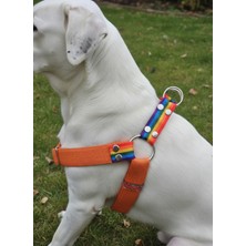 Feyza Design Ayarlanabilir Turuncu ve Gökkuşağı Köpek Göğüs Tasması, Orta ve Büyük Irk