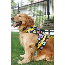 Feyza Design Konforlu Köpek Göğüs Tasma Seti, Küçük ve Büyük Irkler Için Uygun