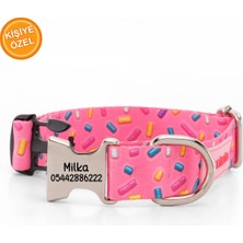 Feyza Design Renkli Köpek Tasması ve Kimlik Etiketi, Şık ve Güvenli Tasarım