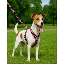 Feyza Design Mor Leopar Desenli Göğüs Tasması ve Gezdirme Kayışı Seti