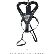 Feyza Design Sağlam Köpek Tasma ve Kayış Takımı, Güçlü ve Şık Tasarım