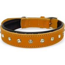 Feyza Design Parlak Taşlı Deri Köpek Tasması, Yumuşak Iç Kısım ve Krom Toka