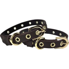 Feyza Design Şık ve Hafif Deri Köpek Tasması, 35CM, Konforlu ve Dayanıklı Tasarım