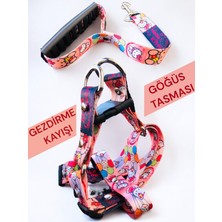 Feyza Design Konforlu Köpek Göğüs Tasması ve Gezdirme Kayışı Seti - Cars Serisi