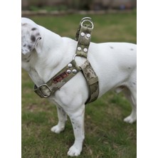 Feyza Design Ayarlanabilir Orta ve Büyük Irk Köpek Göğüs Tasması Kamuflaj Desenli