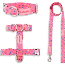 Feyza Design Renkli Köpek Göğüs ve Boyun Tasma Seti, Konforlu Gezdirme Aksesuarı