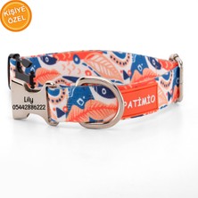 Feyza Design Renkli ve Şık Köpek Tasması, Kişiselleştirilebilir Köpek Kimlikliği