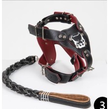 Feyza Design Büyük Boy Deri Köpek Tasma, Gladyatör Tasarım, Siyah Renk, Sağlam ve Şık