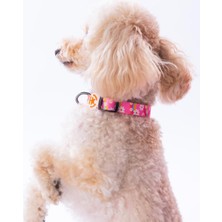 Feyza Design Renkli Papatya Desenli Ayarlanabilir Köpek Boyun Tasma, Şık ve Konforlu