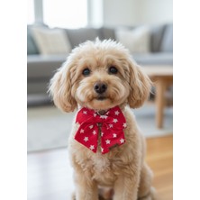 Feyza Design Kırmızı Yıldız Desenli Köpek Fiyonk Papyon Kurdele - Sevimli Pet Aksesuar