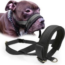 Feyza Design Renkli Köpek Ağızlığı, Eğitim Tasması, Havlama ve Çekiştirme Önleyici