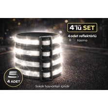 Feyza Design Boyu Ayarlanabilir Reflektorlu Sokak Hayvanları Tasma Seti (Tasma Demiri Yok)