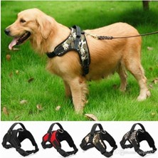 Feyza Design Renkli Büyük Boy Köpek Göğüs Tasması ve Harnes, Konforlu ve Şık Tasarım