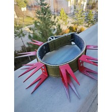 Feyza Design Dikenli Köpek Tasması, 80 Cm, Güvenli ve Dayanıklı Tasarım