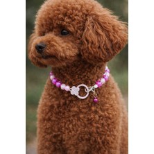 Feyza Design Renkli Köpek Tasması, Boncuk Detaylı Şık ve Rahat Kullanım
