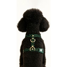 Feyza Design Konforlu ve Güvenli Köpek Göğüs Tasması, H Tipi Kaçış Önleyici