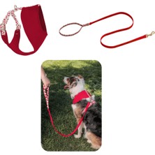 Feyza Design Yumuşak ve Rahat Köpek Göğüs Tasma Seti, Güvenli ve Şık Tasarım