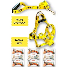 Feyza Design Yumuşak Peluş Köpek Tasması ve Gezdirme Kayışı Seti