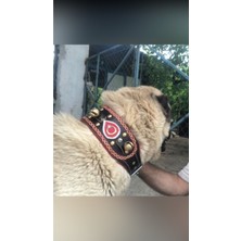 Feyza Design Kangal Köpek Tasması, Hakiki Manda Derisi, Kırmızı Şeritli, Dayanıklı