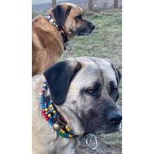 Feyza Design Dayanıklı Manda Derisi Kangal Köpek Tasması, Güçlü ve Şık Tasarım