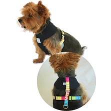 Feyza Design Renkli Denim Köpek Göğüs Tasması, Mesh Astar, Rahat ve Şık Tasarım