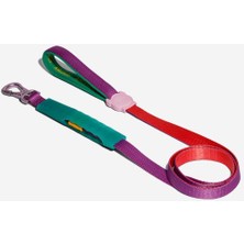 Feyza Design Hafif ve Dayanıklı Tasma, Konforlu Köpek Gezdirme Aksesuarı