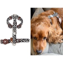 Feyza Design Renkli Desenli Geri Dönüştürülmüş H Tipi Köpek Göğüs Tasması