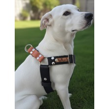 Feyza Design Orta ve Büyük Irk Köpekler Için Ayarlanabilir Deri Göğüs Tasması Siyah