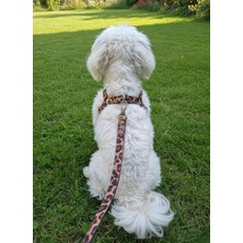 Feyza Design Köpek Göğüs Tasması ve Gezdirme Kayışı Seti, Ayarlanabilir, Leopar Desen