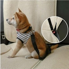 Feyza Design Siyah Evcil Hayvan Araç Emniyet Kemeri, Güvenli ve Konforlu Seyahat