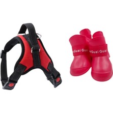 Feyza Design Su Geçirmez Köpek Göğüs Tasması ve Kedi Yürüyüş Ayakkabısı Seti