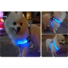 Feyza Design LED Işıklı Kedi Köpek Göğüs Tasması, Ayarlanabilir ve Hafif Tasma