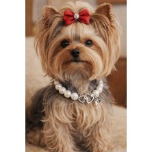 Feyza Design Büyük Inci Köpek Kolyesi, Şık ve Zarif Tasarım, Dayanıklı ve Parlak