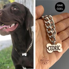 Feyza Design Özel Tasarım Köpek Tasması ve Künye, Güvenli ve Şık Aksesuar