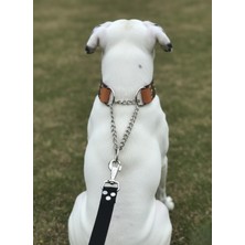 Feyza Design Ayarlanabilir Köpek Boyun Tasması Orta ve Büyük Irk Deri Zincir