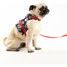 Feyza Design Ayarlanabilir Köpek Göğüs Tasma Seti ve Gezdirme Ipi, Konfor ve Güvenle Kullanım