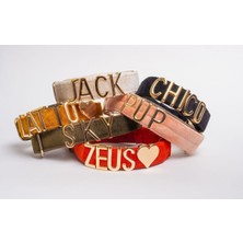 Feyza Design Isimli Köpek Tasması ve Gezdirme Kayışı Seti, Şık ve Konforlu Tasarım