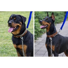 Feyza Design Sağlam Köpek Gezdirme Zinciri, 120 Cm, 3,5 Mm, Güvenli ve Dayanıklı