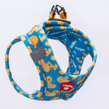 Feyza Design Renkli ve Hafif Köpek-Kedi Mesh Göğüs Tasması, Rahat Kullanım Sağlar