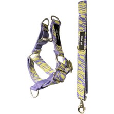 Feyza Design Lily Modeli Iki Ayak Tasma Seti, Rahat ve Şık Tasarım