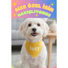Feyza Design Kişiye Özel Köpek Bandanası, Ayarlanabilir ve Şık Tasarım
