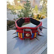 Feyza Design Kırmızı Keçeli Köpek Tasma, 80 Cm, Sevimli ve Rahat Kullanım