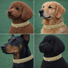 Feyza Design Parlak Taşlı Köpek Tasmaları ve Kolyesi, Şık ve Zarif Tasarım