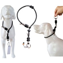 Feyza Design Dayanıklı Köpek Eğitim Tasma, Güvenli ve Konforlu Köpek Bağlama Kayışı