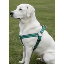 Feyza Design Ayarlanabilir Köpek Göğüs Tasması, Her Irka Uygun, Yeşil Renkli