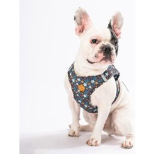 Feyza Design Hafif ve Rahat Hava Fileli Köpek ve Kedi Göğüs Tasması, Güvenle Kullanın