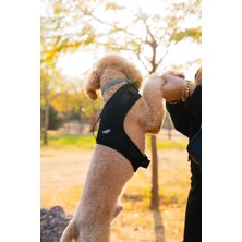 Feyza Design Nefes Alan Airmesh Göğüs Tasması, Siyah Renk, Konfor ve Güvenlik